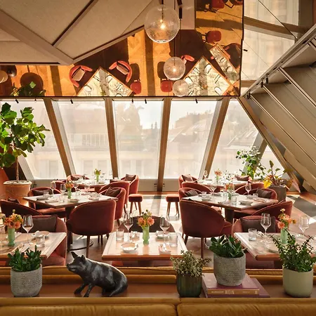 Rosewood Vienna